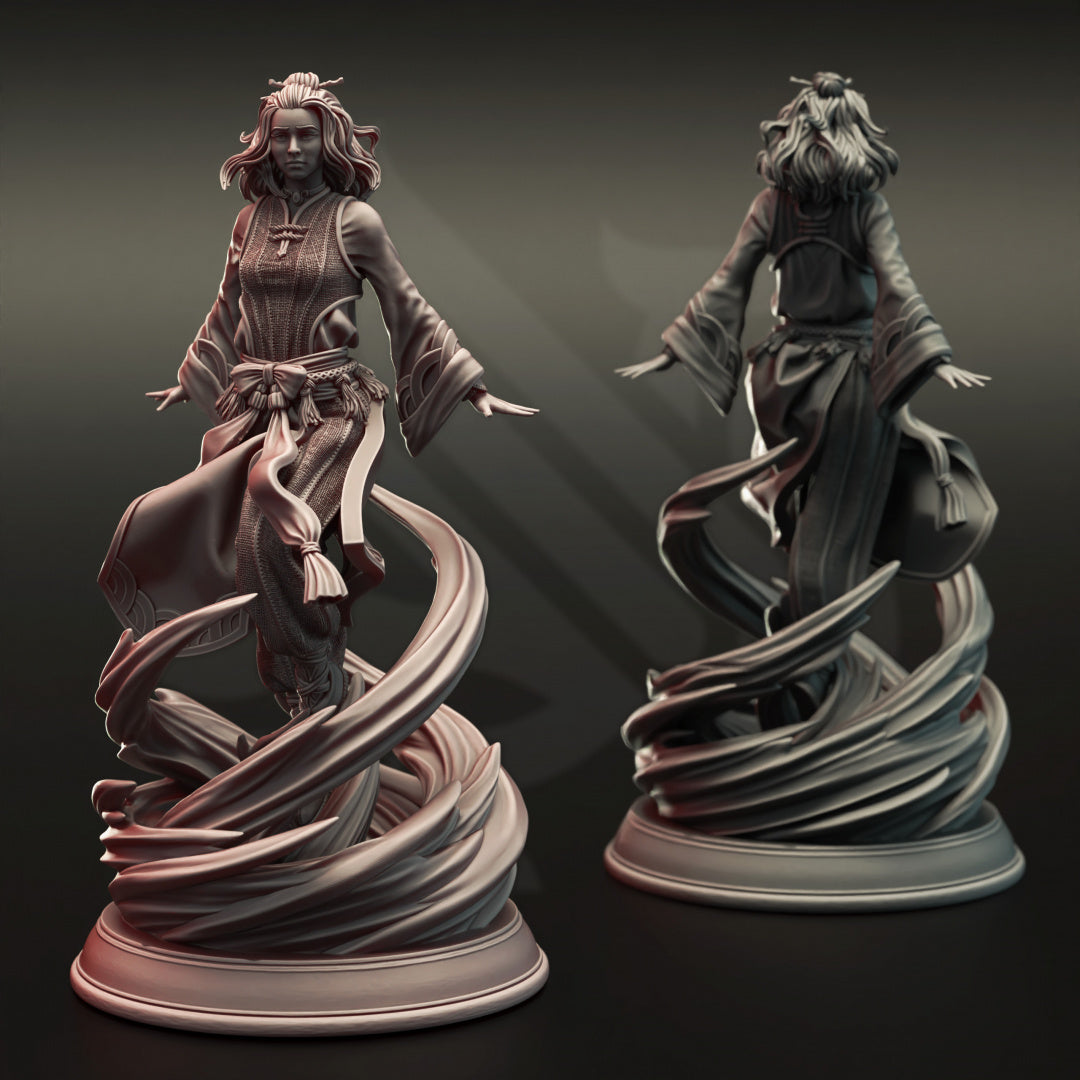 Air Genasi Aeromancer - Avia Shun