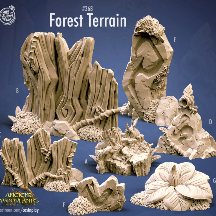 Forest Terrain