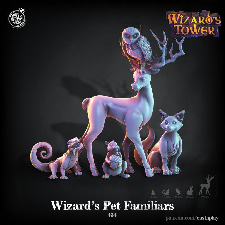 Wizard's Pet Familiars
